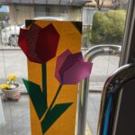 ちゅうりっぷの花が咲きました