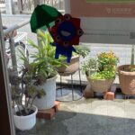 久しぶりです！梅雨の季節です！